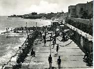 Conchiglia adriatica anni ' 60