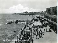 Conchiglia adriatica anni ' 60