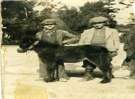 Ragazzi anni '30 con cavallino