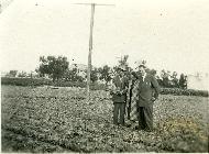 Produzione di verdure